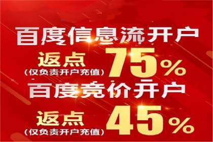 百度推广服务费案例：让品牌快速崛起的秘诀